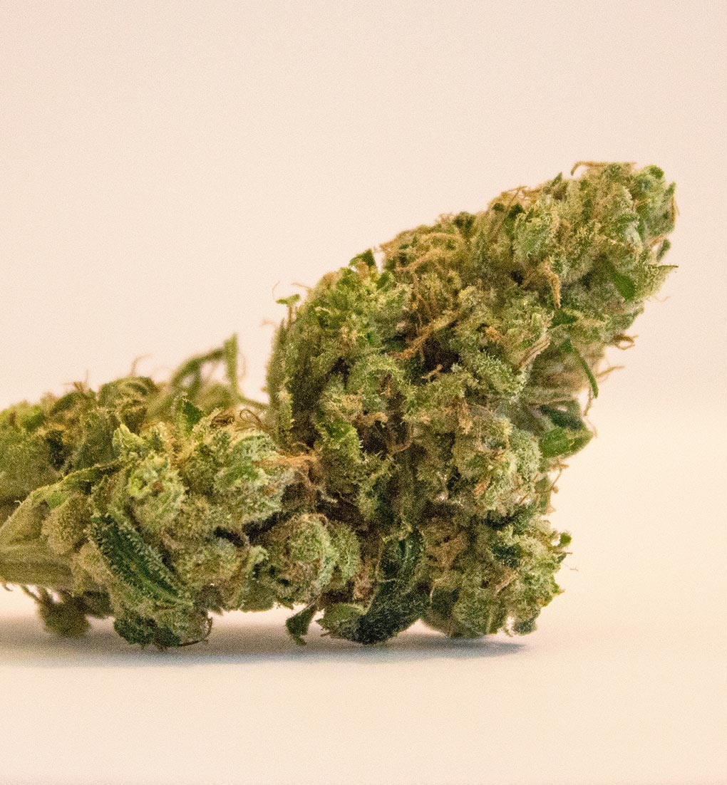 Cannabis Buds Cannabis buds