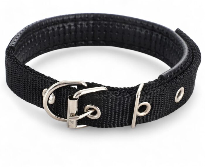 Adjustable Dog Collar with Metal Buckle - Image 5