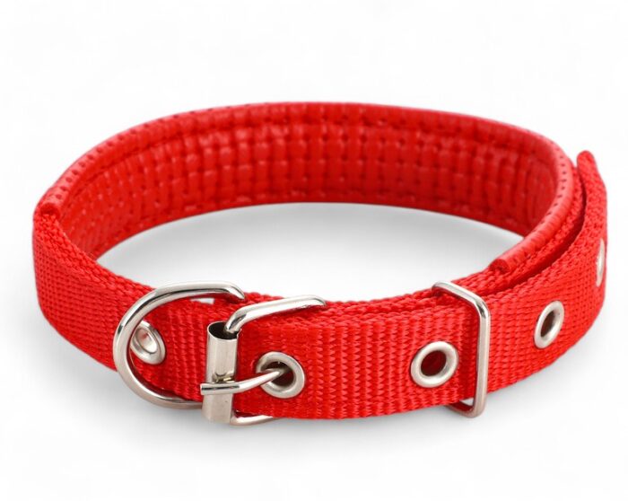 Adjustable Dog Collar with Metal Buckle - Image 3