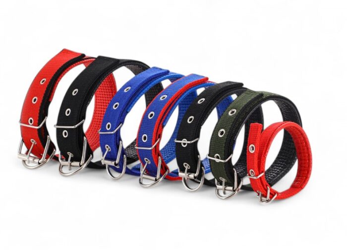 Adjustable Dog Collar with Metal Buckle