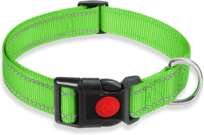 Adjustable Dog Collar with Plastic Buckle