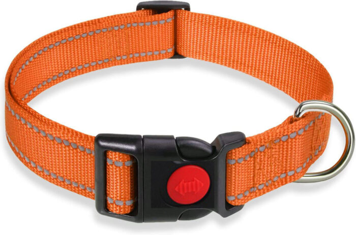 Adjustable Dog Collar with Plastic Buckle - Image 2