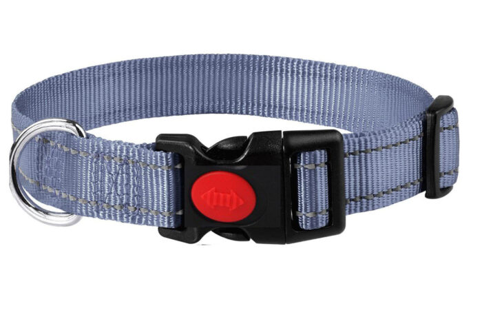 Adjustable Dog Collar with Plastic Buckle - Image 3