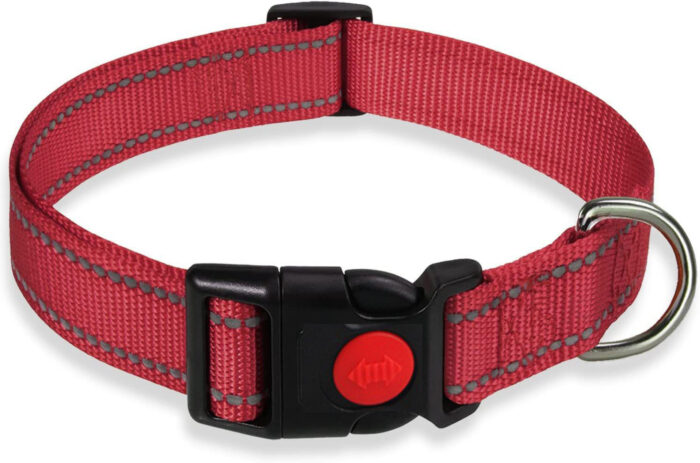 Adjustable Dog Collar with Plastic Buckle - Image 4