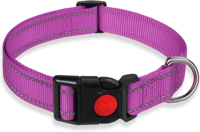 Adjustable Dog Collar with Plastic Buckle - Image 7