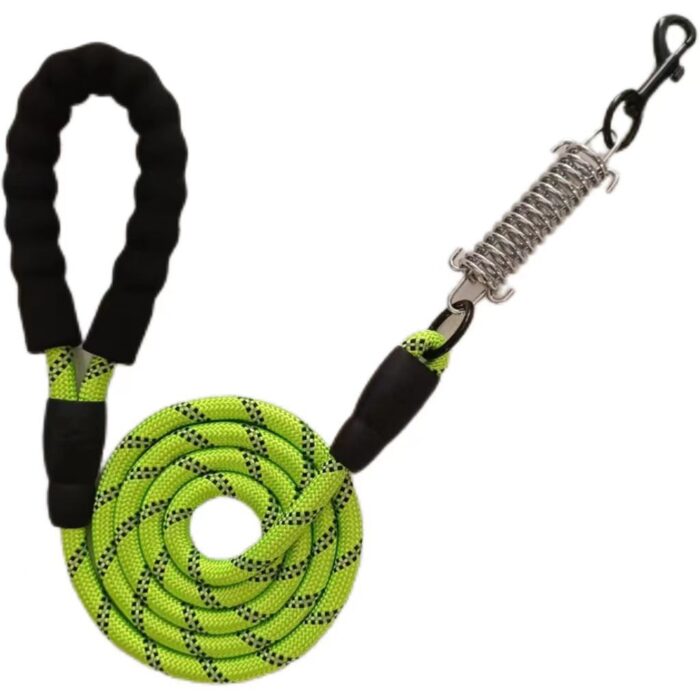 Reflective Dog Leash with Spring - Image 2