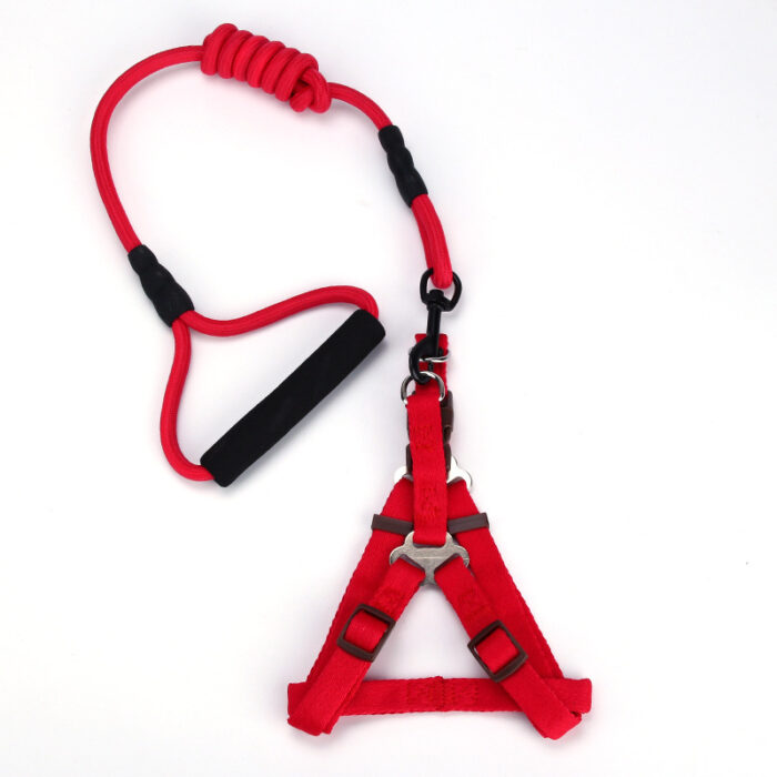 Dog Leash and Harness Set - Image 2