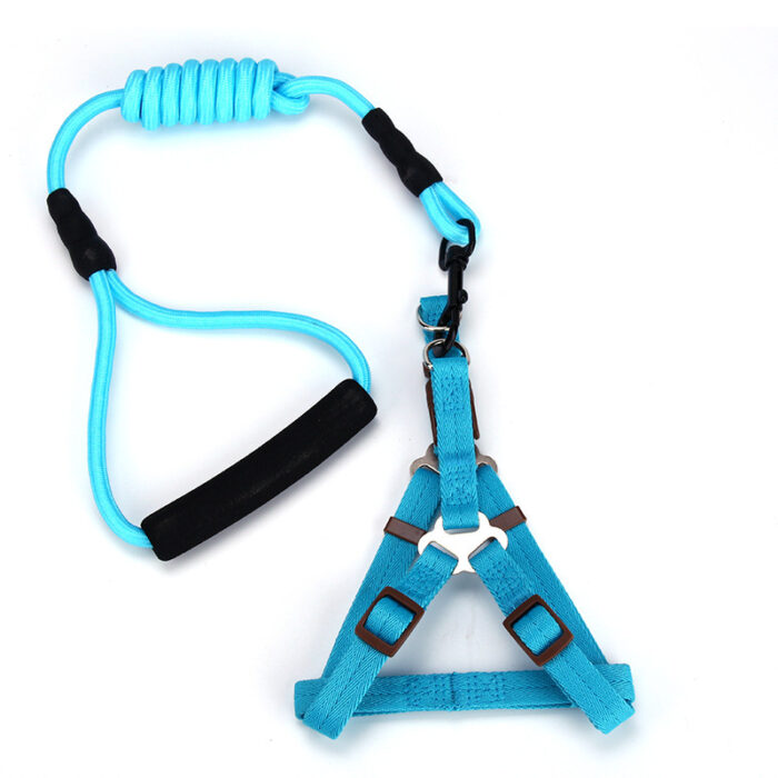 Dog Leash and Harness Set