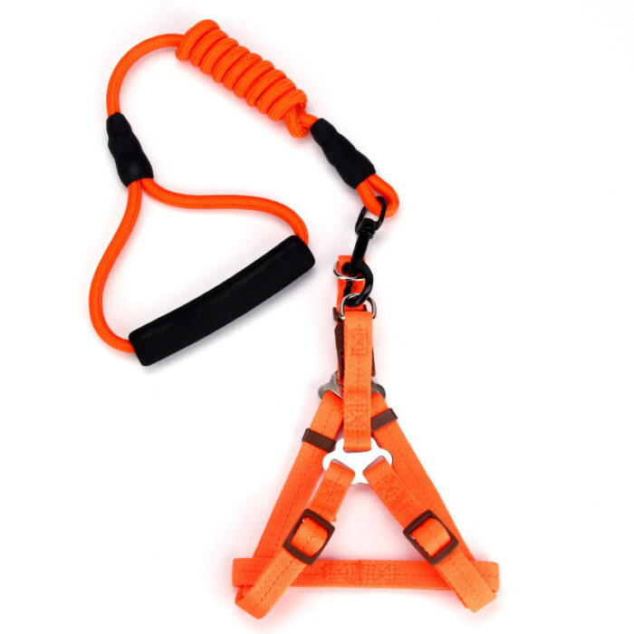 Dog Leash and Harness Set - Image 3